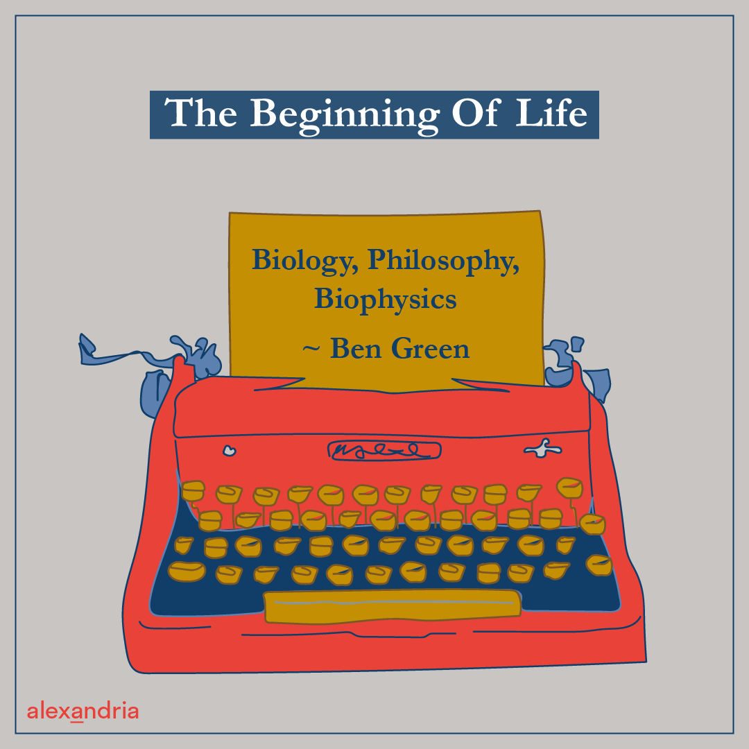 Essay erster Platz Beginning of Life